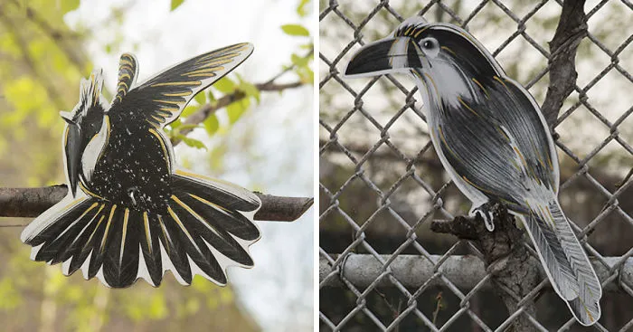 I Created Public Art Project 'Tropical Birds' To Initiate A Conversation Around Climate Change