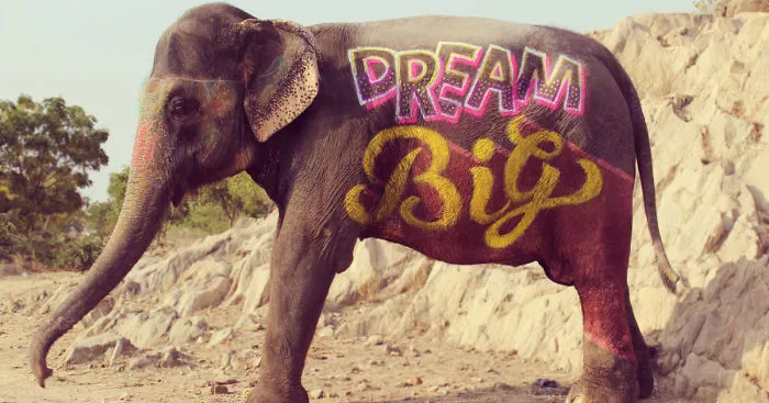 Part Of #IndiaThroughType Project - Type On Elephant