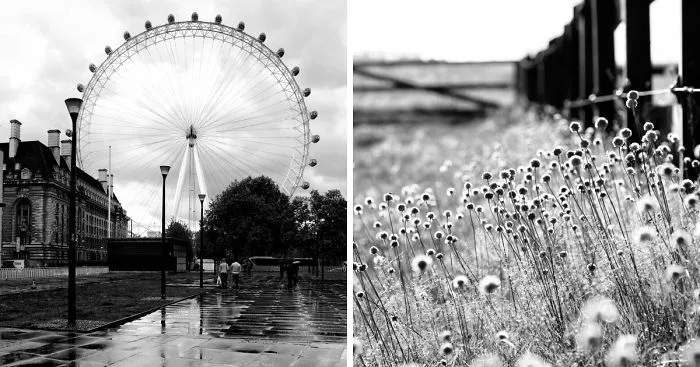 I Removed Colors From The Pictures To Change Their Mood