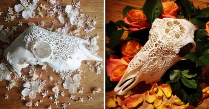 I Carved Lamps From Skulls
