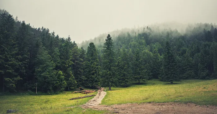 I Hiked To A Local Hill To Photograph A Foggy Morning