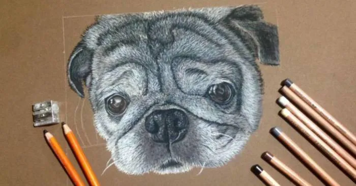 I Draw Animals Using Charcoal And Pastel