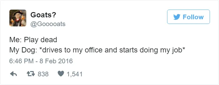 115 Hilarious Tweets About Work You Shouldn't Be Reading At Work