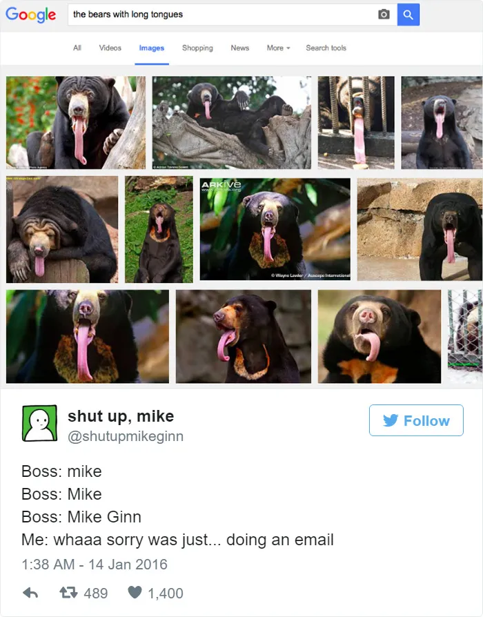 115 Hilarious Tweets About Work You Shouldn't Be Reading At Work