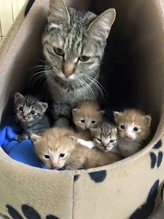 Happy Friday, Purrrr