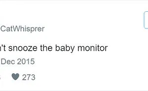65 Hilarious Tweets About Babies