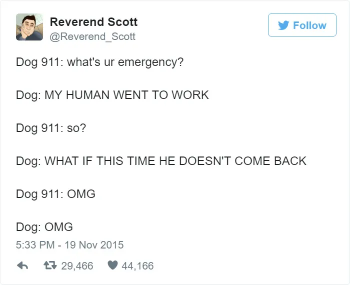 Hilarious Emergencies Dogs Would Have If They Could Dial 911
