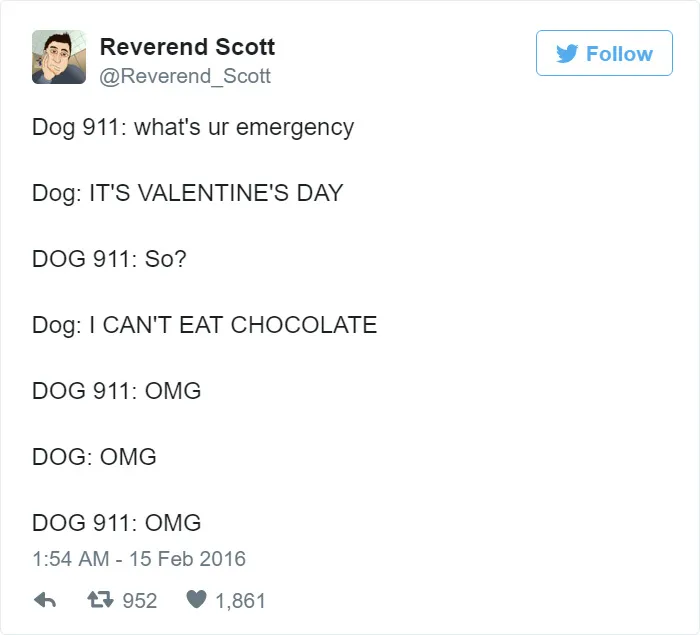 Hilarious Emergencies Dogs Would Have If They Could Dial 911