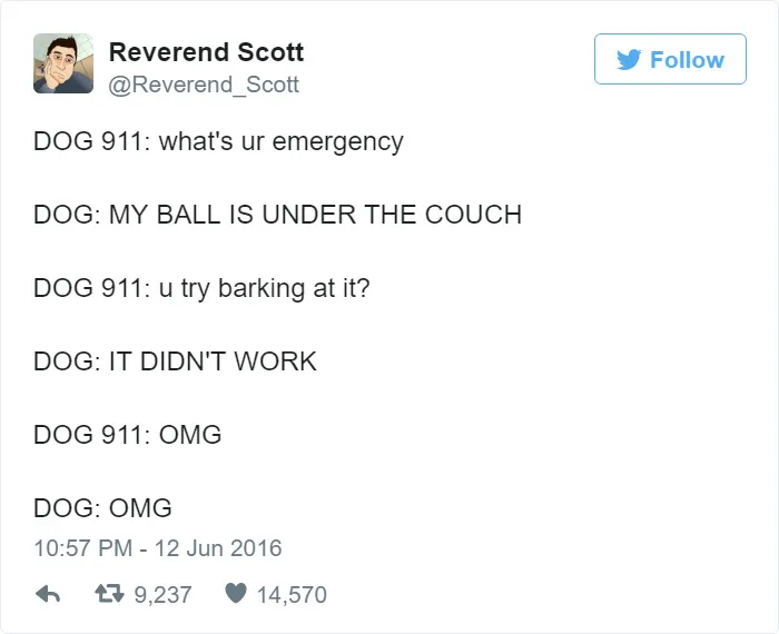 Hilarious Emergencies Dogs Would Have If They Could Dial 911