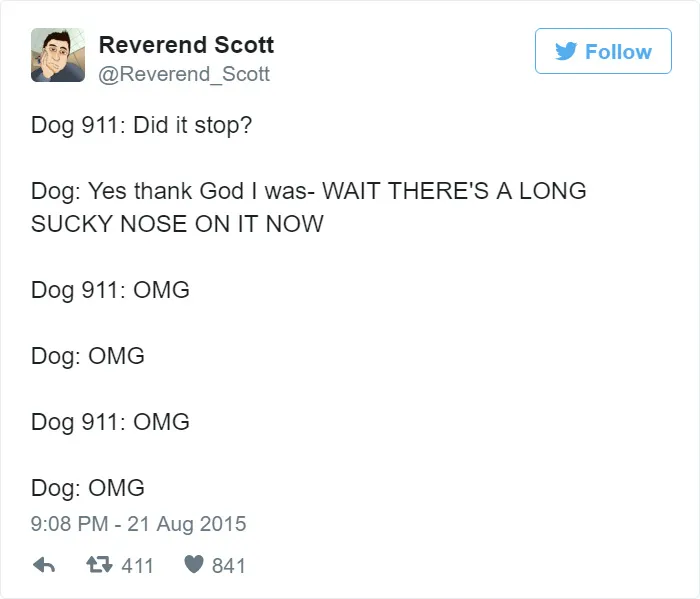 Hilarious Emergencies Dogs Would Have If They Could Dial 911
