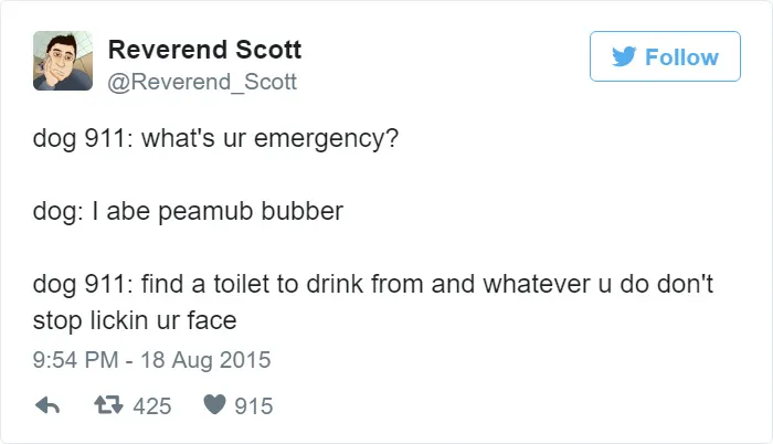 Hilarious Emergencies Dogs Would Have If They Could Dial 911