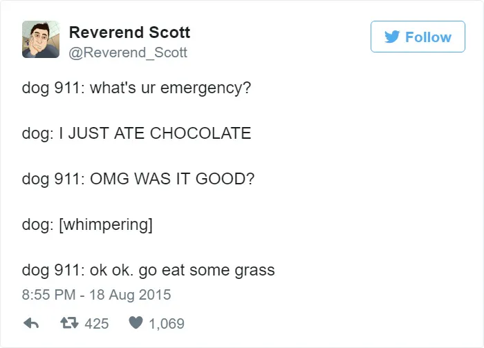 Hilarious Emergencies Dogs Would Have If They Could Dial 911
