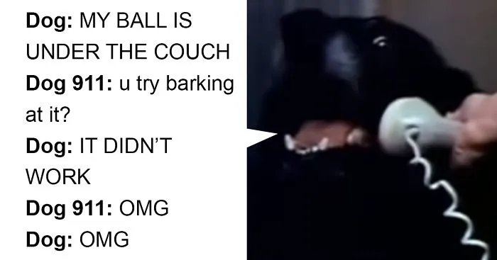 Hilarious Emergencies Dogs Would Have If They Could Dial 911