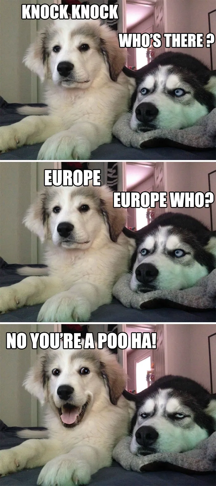 Knock Knock
