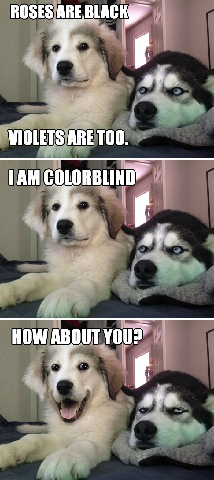 Roses Are Black