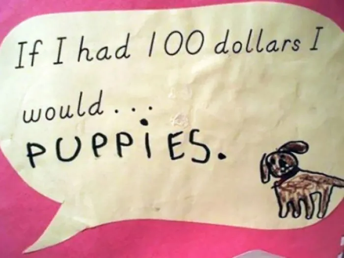 Puppies
