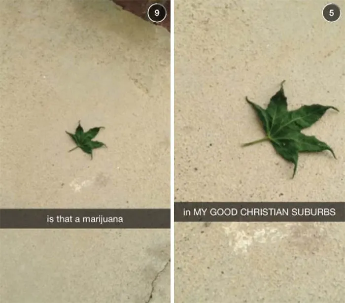 Hilarious Snapchat of a leaf with captions mistaking it for marijuana, highlighting humor in suburban settings.