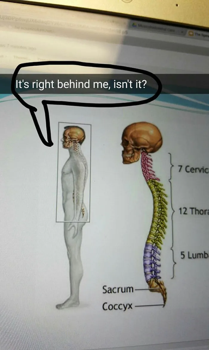 Funny Snapchat of a skeletal diagram with a speech bubble saying, "It's right behind me, isn't it?"