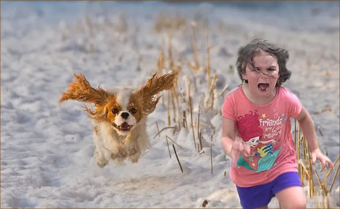 Flying Dog