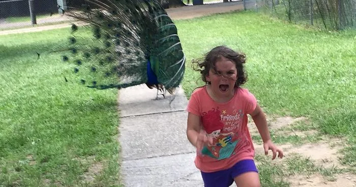 Family Trip To Petting Zoo Didn't Go As Planned, Internet Response Is Hilarious