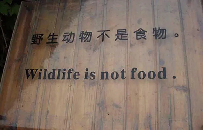 106 Hilarious Translation Fails In Asia