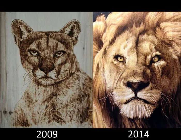 Woodburning 2009 Vs 2014