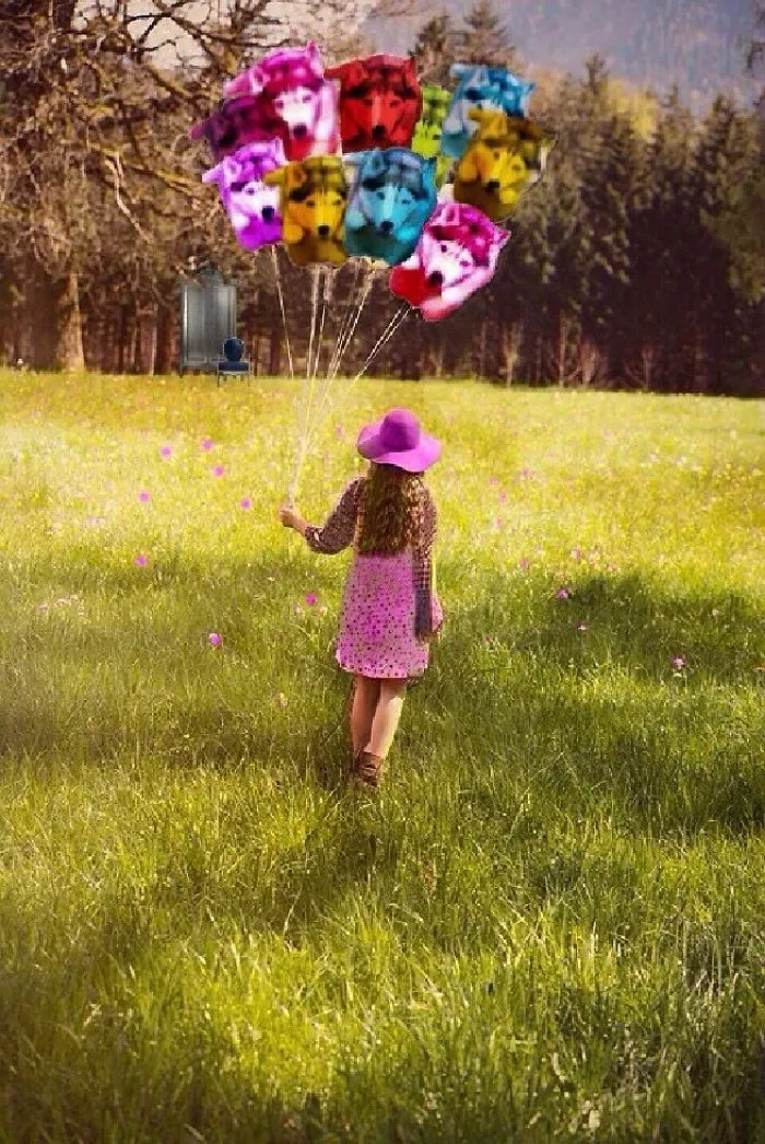 Meadow
