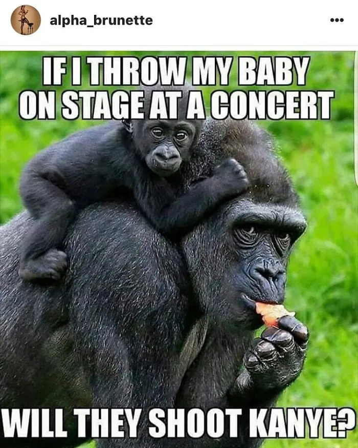 Animal Is Better Than You People