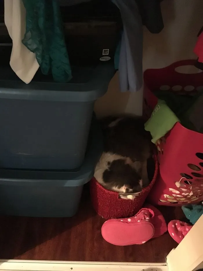 Laundry Time?