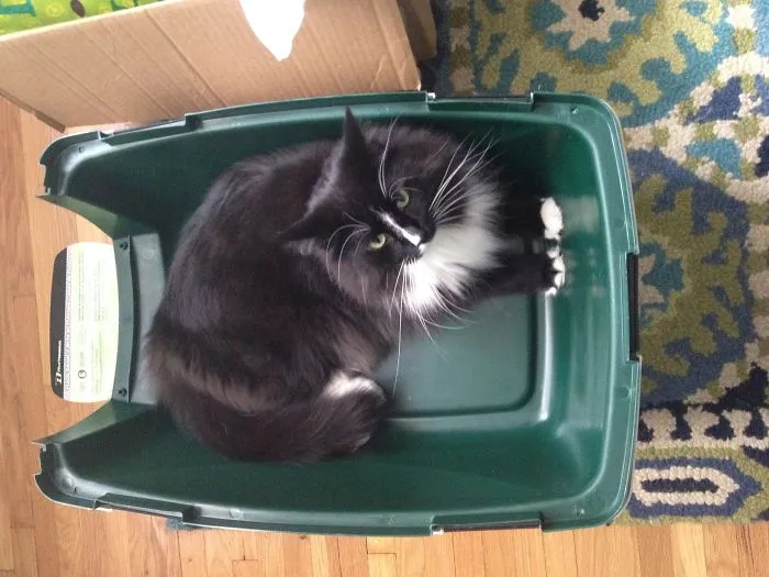 Spock Loves His Un-assembled Carrier (aka The Shuttle Craft)