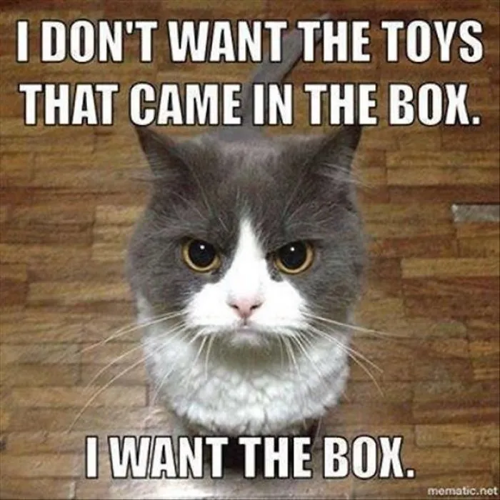Cat Memes For A Better Day.