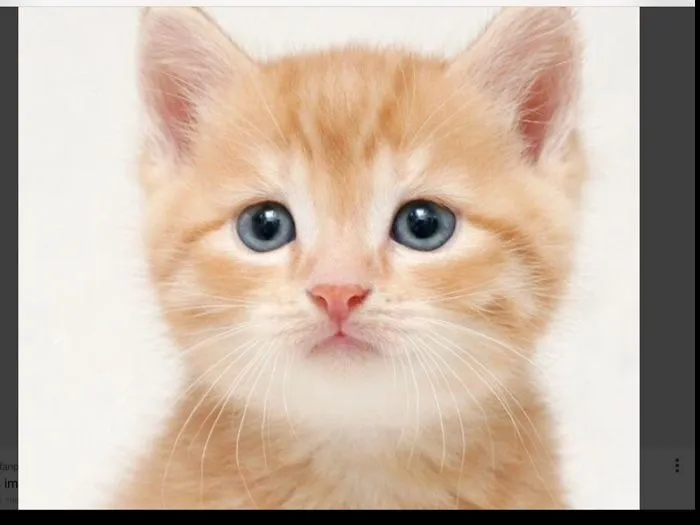 So Cute