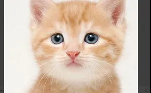 So Cute