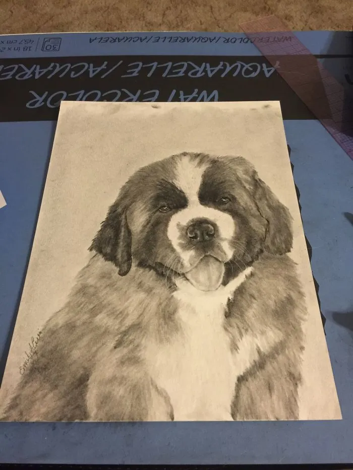 Pet Portrait