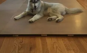 Homemade Life Sized Scrabble