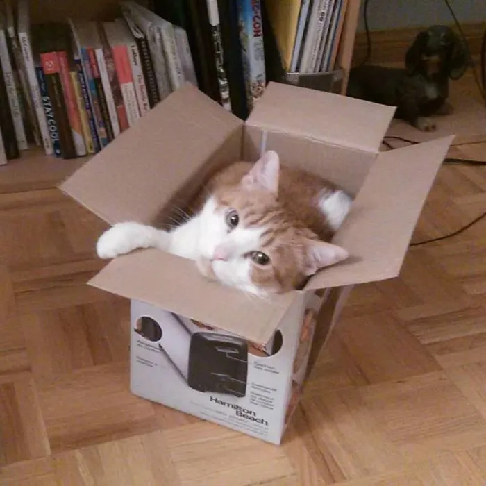 Karma Loves Boxes