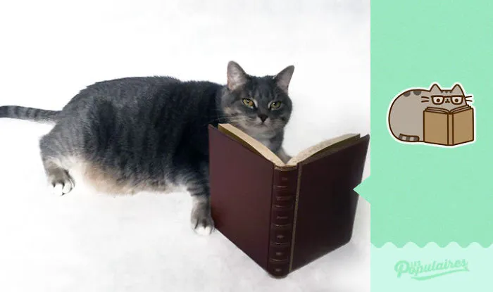 The Book