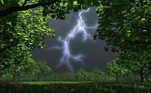 Amazing Nature Picture