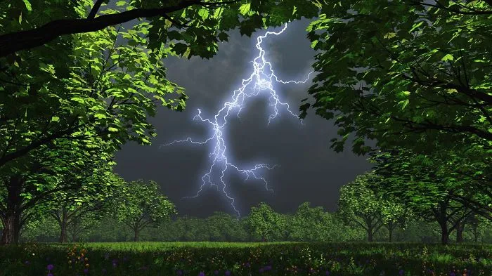 Amazing Nature Picture