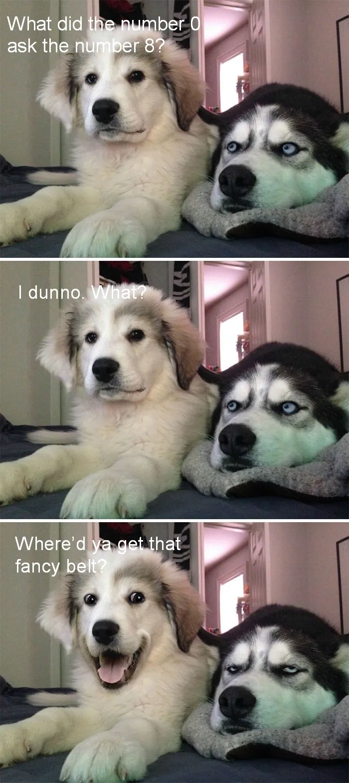 The Jokester