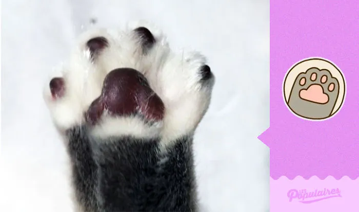 The Hi-Five