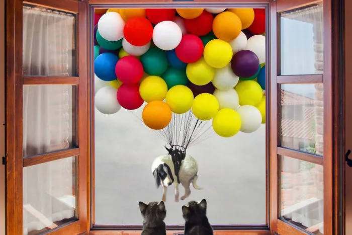 Up, Up, And Away!