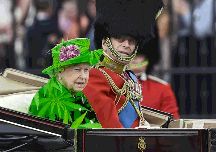 The Queen's 'Green Screen' Outfit Sparks A Hilarious Internet Reaction