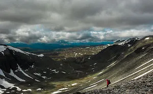 I Wanted To Find Wild Reindeer