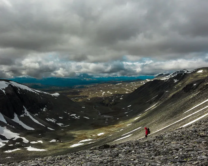 I Wanted To Find Wild Reindeer