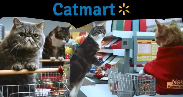 Cat Supermarket! Awww