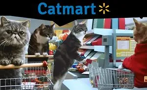 Cat Supermarket! Awww
