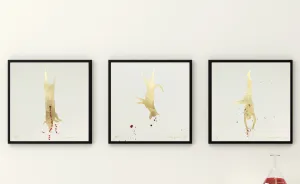 We Created A Collage Series As A Reaction On Animal Cruelty