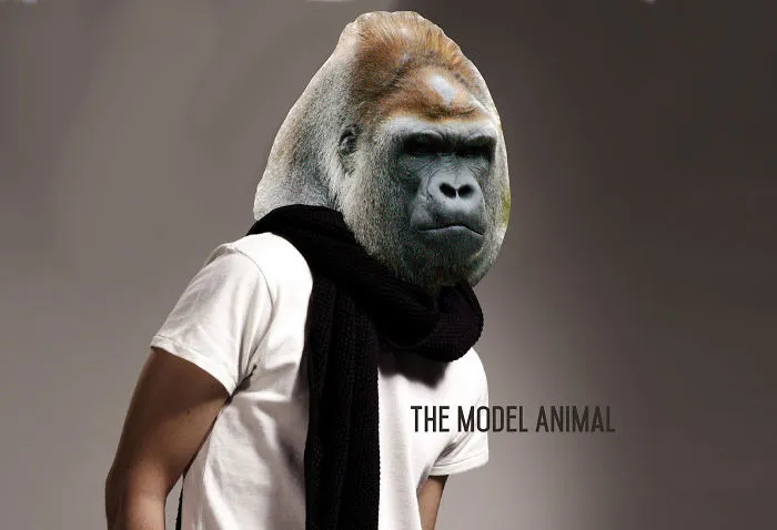I Spend Hours Imagining Model Animals