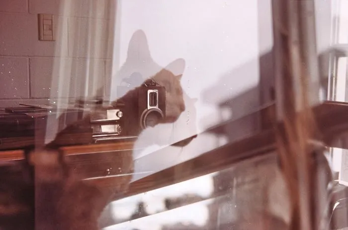 Mi Hija Vera, Su Gato Y Su Abuelo